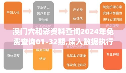 澳門六和彩資料查詢2024年免費查詢01-32期,深入數據執行計劃_WP110.898