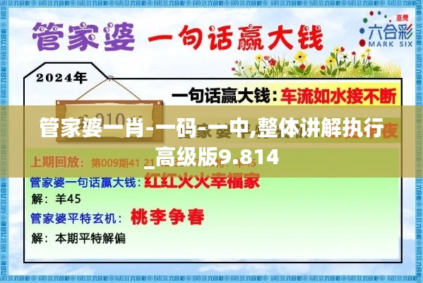 管家婆一肖-一碼-一中,整體講解執行_高級版9.814
