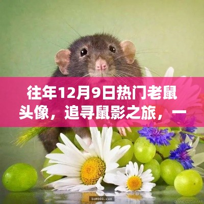 追尋鼠影之旅，與自然美景的邂逅，歷年12月9日熱門老鼠頭像回顧