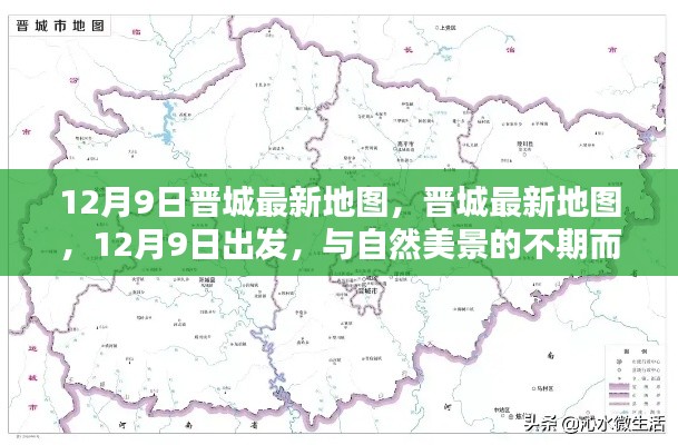 蟲蝕鳥步 第4頁