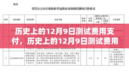 歷史上的12月9日測試費用支付情況及其產品評測概述