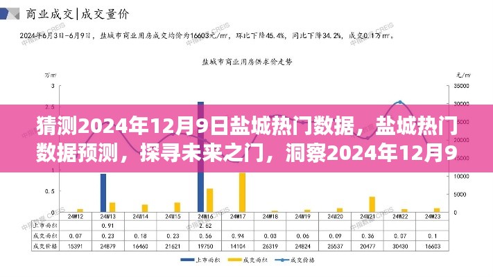 探尋鹽城未來繁華脈絡，熱門數據預測報告，洞察2024年鹽城發展趨勢（鹽城預測報告）