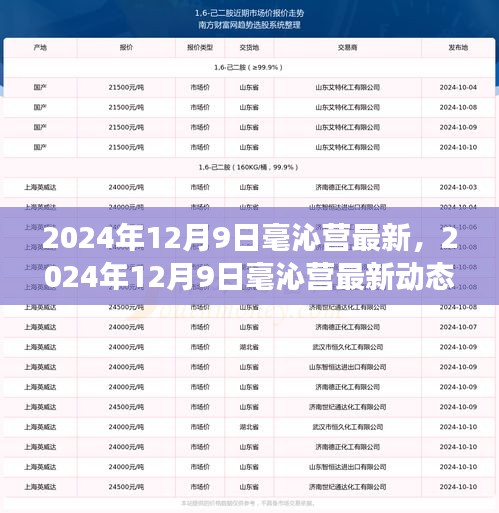 2024年12月9日毫沁營最新動態，探索未來，預見美好