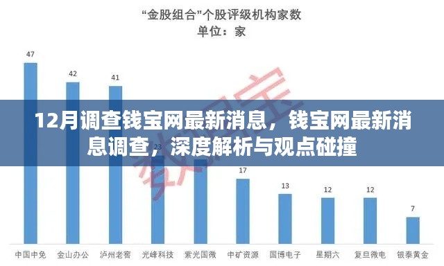 錢寶網最新動態深度解析與觀點碰撞，12月調查最新消息揭秘