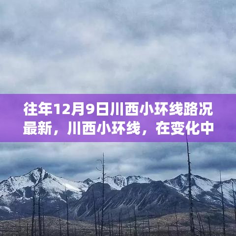 物以稀為貴 第5頁