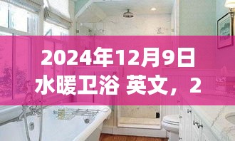 2024年水暖衛(wèi)浴行業(yè)展望，創(chuàng)新與發(fā)展的融合，行業(yè)趨勢及英文市場分析