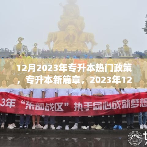 夢想起航時，2023年專升本熱門政策解讀與新篇章開啟