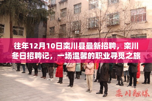 欒川縣最新招聘啟幕，冬日職業(yè)尋覓之旅