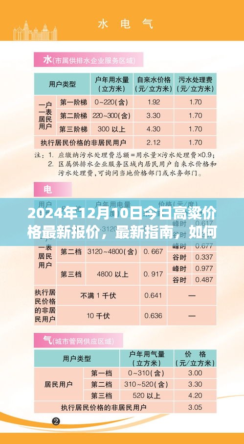 2024年12月10日高粱價(jià)格最新動(dòng)態(tài)及解讀指南