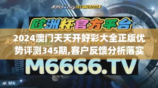 2024澳門天天開好彩大全正版優勢評測345期,客戶反饋分析落實_8DM10.908