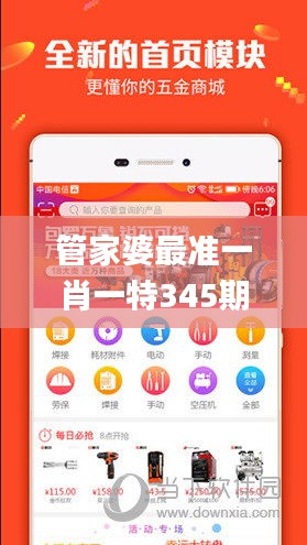 管家婆最準(zhǔn)一肖一特345期,綜合分析解釋定義_云端版2.238