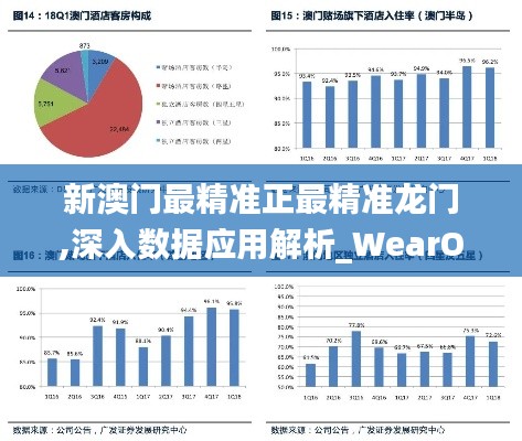 新澳門最精準正最精準龍門,深入數據應用解析_WearOS9.521