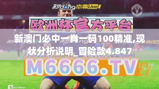 新澳門必中一肖一碼100精準,現狀分析說明_冒險款4.847