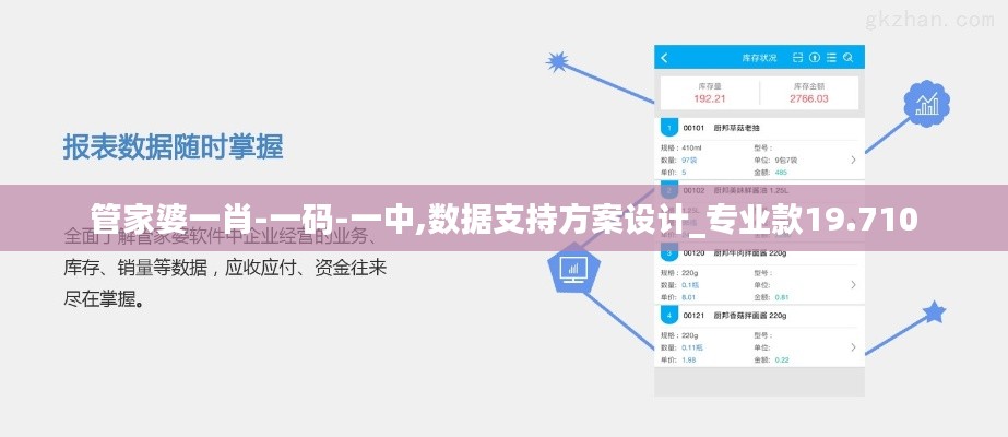 管家婆一肖-一碼-一中,數據支持方案設計_專業款19.710