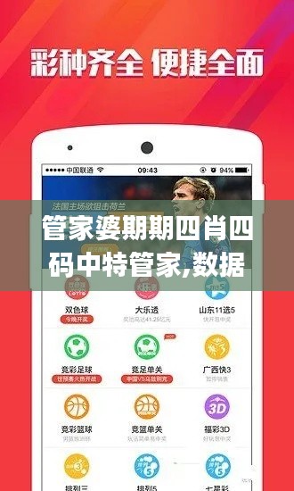 管家婆期期四肖四碼中特管家,數據解析說明_P版10.562