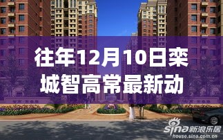 往年12月10日欒城智高常最新動態，科技與智慧的融合進展持續更新