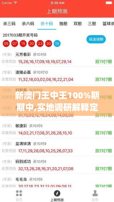 新澳門王中王100%期期中,實地調研解釋定義_專業版4.847