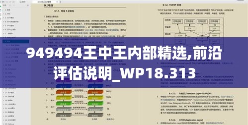 949494王中王內(nèi)部精選,前沿評(píng)估說明_WP18.313