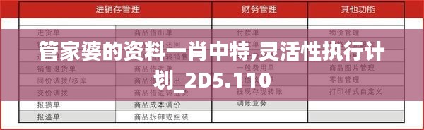 管家婆的資料一肖中特,靈活性執行計劃_2D5.110