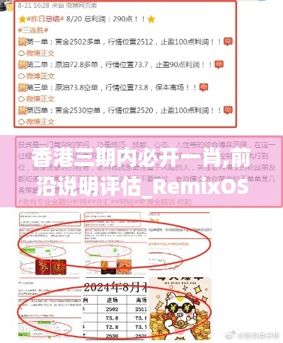 香港三期內(nèi)必開一肖,前沿說明評估_RemixOS10.436