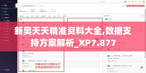 新奧天天精準資料大全,數據支持方案解析_XP7.877