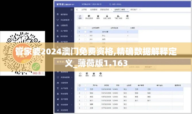管家婆2024澳門免費資格,精確數據解釋定義_薄荷版1.163