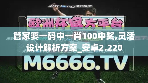 管家婆一碼中一肖100中獎,靈活設計解析方案_安卓2.220