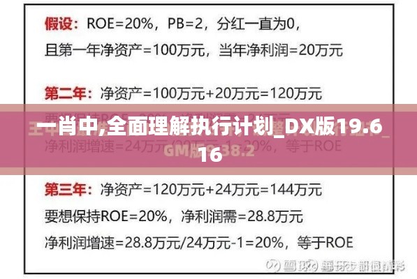 一肖中,全面理解執(zhí)行計劃_DX版19.616