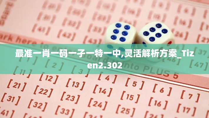 最準一肖一碼一孑一特一中,靈活解析方案_Tizen2.302