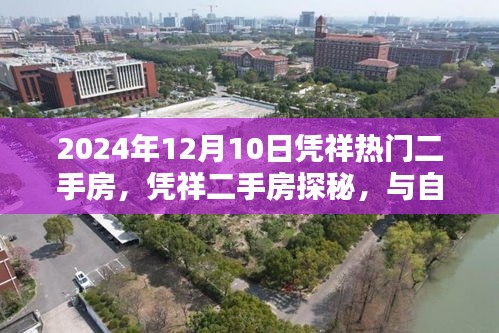 憑祥熱門二手房探秘，與自然美景的邂逅，尋找寧靜家園