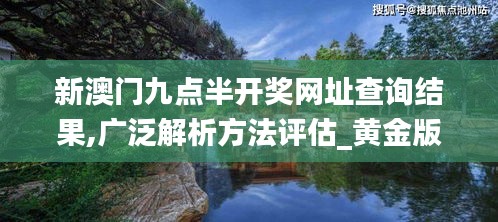 新澳門九點半開獎網址查詢結果,廣泛解析方法評估_黃金版13.229