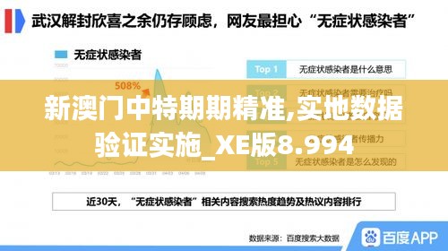 新澳門中特期期精準,實地數據驗證實施_XE版8.994
