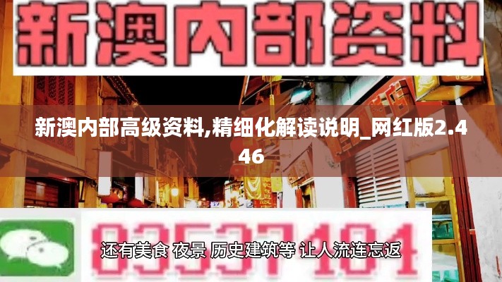 新澳內部高級資料,精細化解讀說明_網紅版2.446