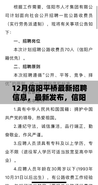 12月信陽平橋招聘信息最新發布，熱點職位與求職指南