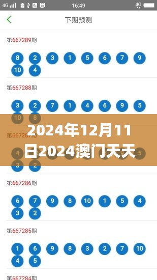 2024年12月11日2024澳門天天開好彩大全開獎結果,前沿分析解析_Premium6.914