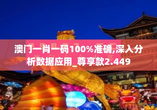 澳門一肖一碼100%準確,深入分析數據應用_尊享款2.449