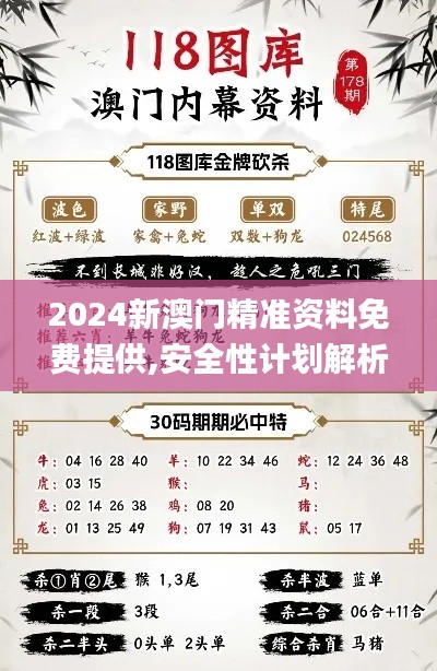 2024新澳門精準資料免費提供,安全性計劃解析_Z10.392