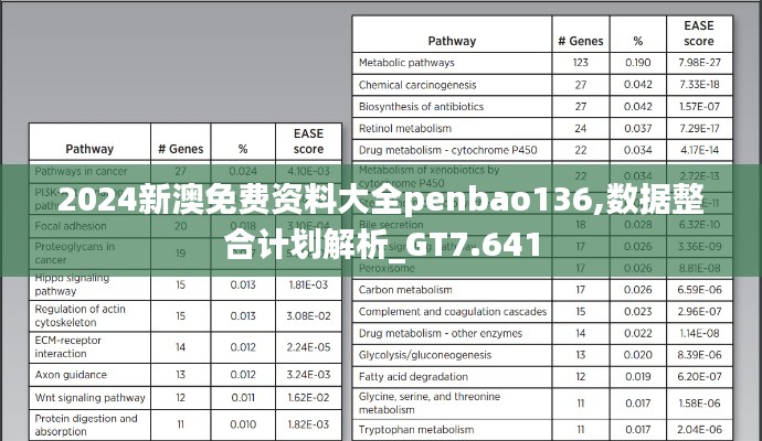 2024新澳免費資料大全penbao136,數據整合計劃解析_GT7.641