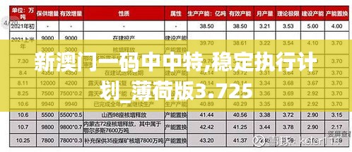 新澳門一碼中中特,穩定執行計劃_薄荷版3.725