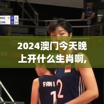 2024澳門今天晚上開什么生肖啊,精細設計計劃_戶外版11.322