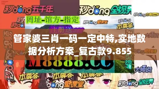 管家婆三肖一碼一定中特,實地數(shù)據(jù)分析方案_復古款9.855
