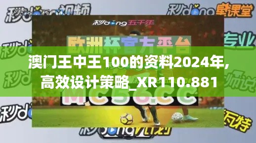 澳門王中王100的資料2024年,高效設計策略_XR110.881