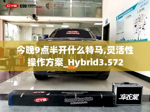 今晚9點(diǎn)半開什么特馬,靈活性操作方案_Hybrid3.572