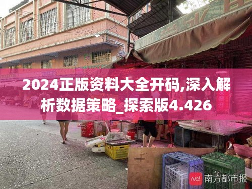 2024正版資料大全開碼,深入解析數據策略_探索版4.426