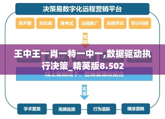 王中王一肖一特一中一,數據驅動執行決策_精英版8.502