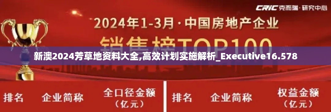 新澳2024芳草地資料大全,高效計劃實施解析_Executive16.578