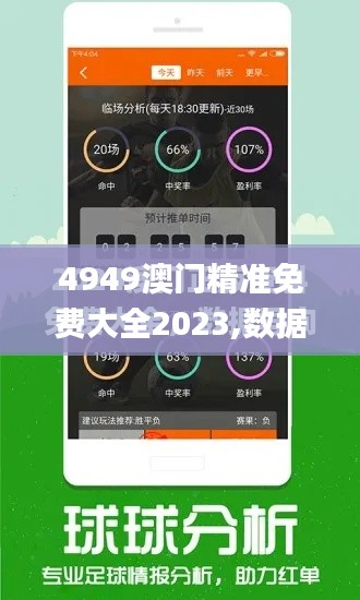 4949澳門精準免費大全2023,數據解答解釋定義_6DM9.252