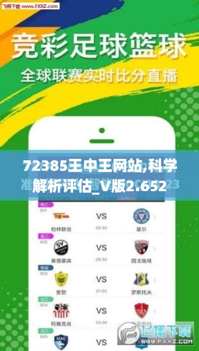 72385王中王網站,科學解析評估_V版2.652