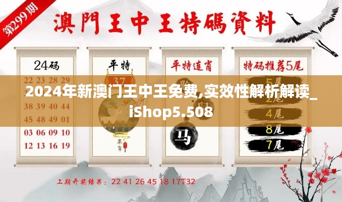 2024年新澳門王中王免費,實效性解析解讀_iShop5.508