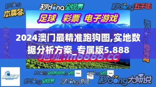 2024澳門最精準跑狗圖,實地數據分析方案_專屬版5.888